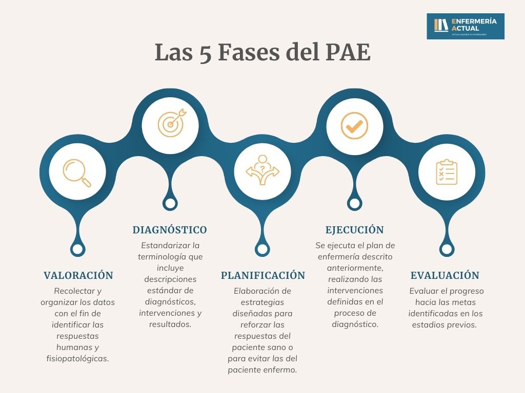 fases del PAE